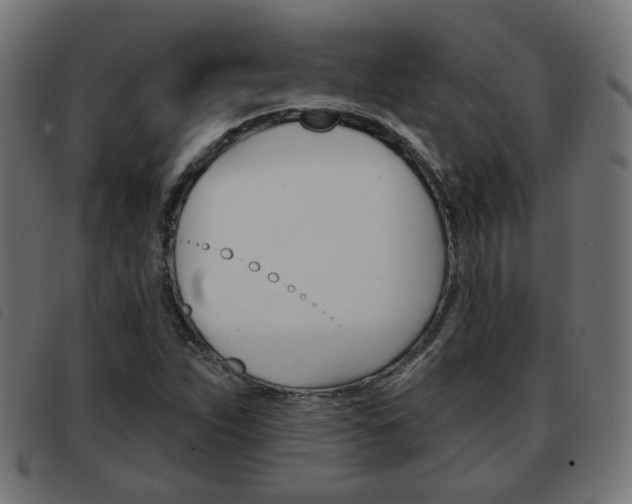 X0000093581263200710150950