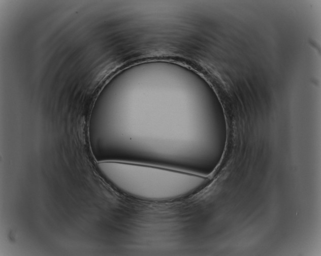 X0000093581265200710150950