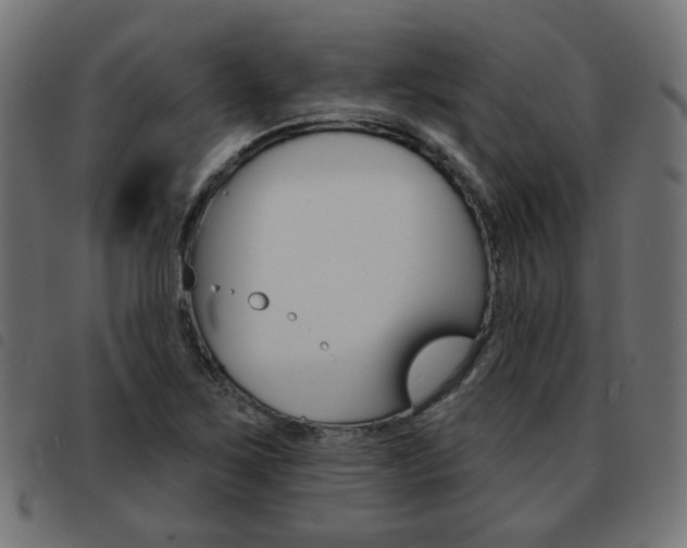 X0000093581267200710150950