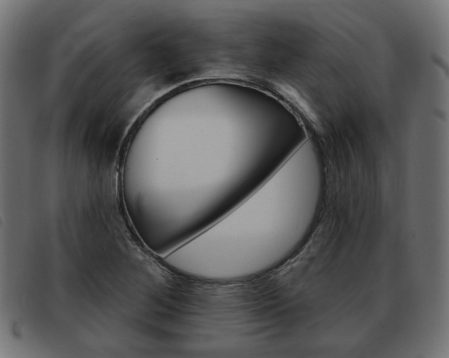 X0000093581268200710150950