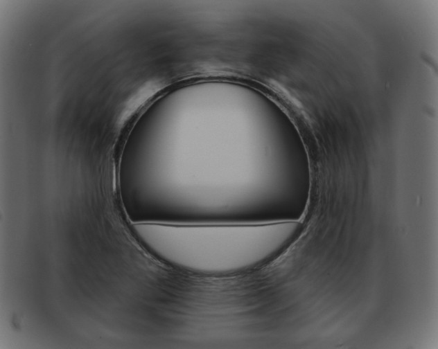 X0000093581269200710150950