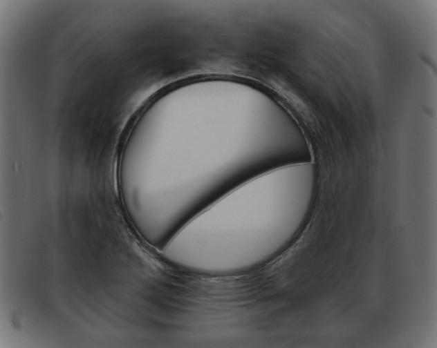 X0000093581272200710150950