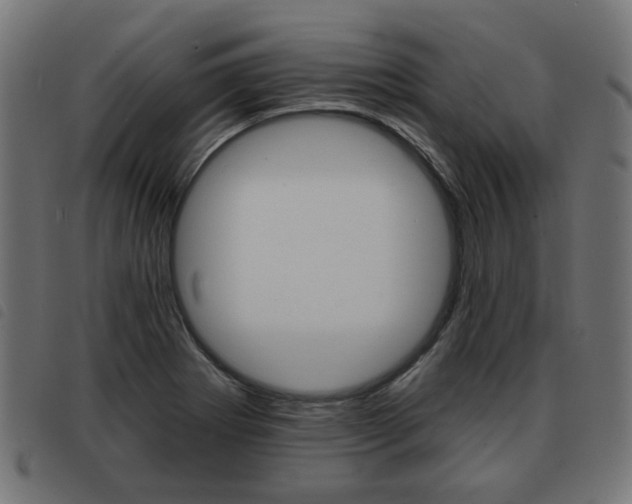X0000093581273200710150950