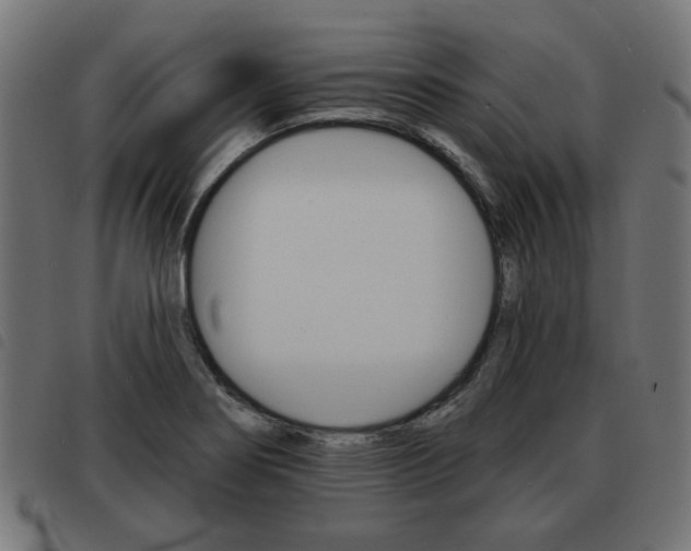 X0000093581274200710150950