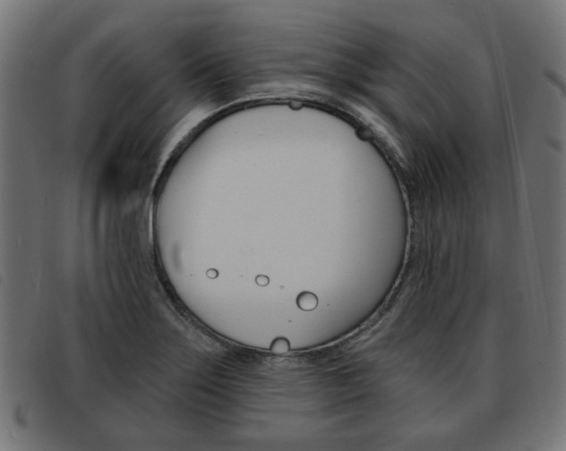 X0000093581275200710150950