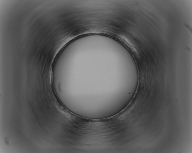 X0000093581276200710150950