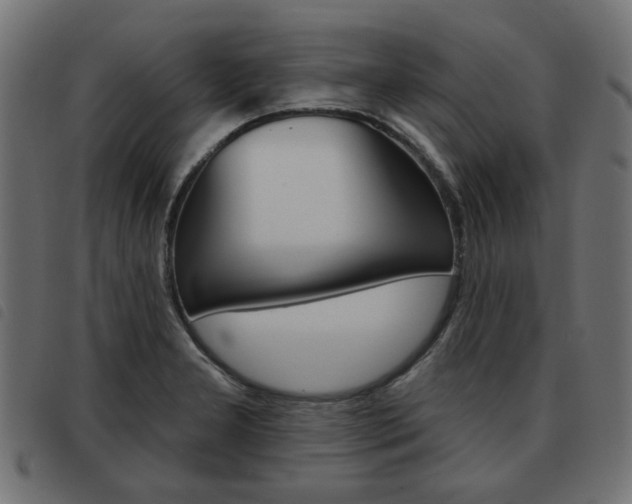 X0000093581277200710150950