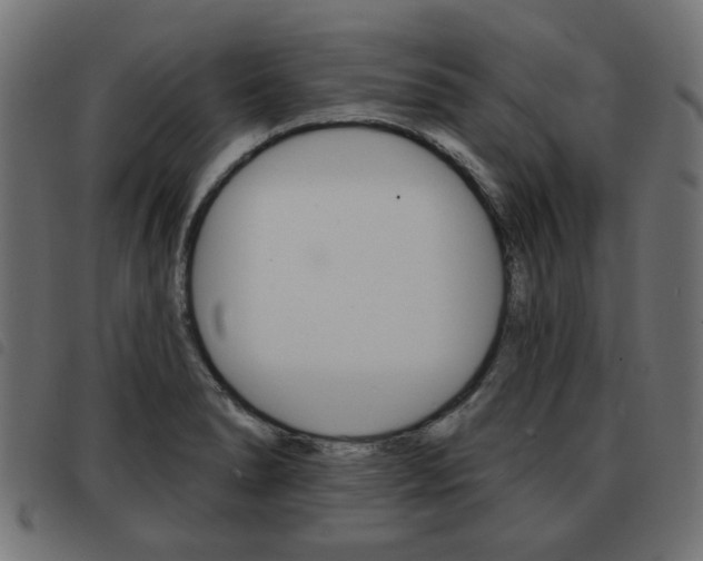 X0000093581278200710150950