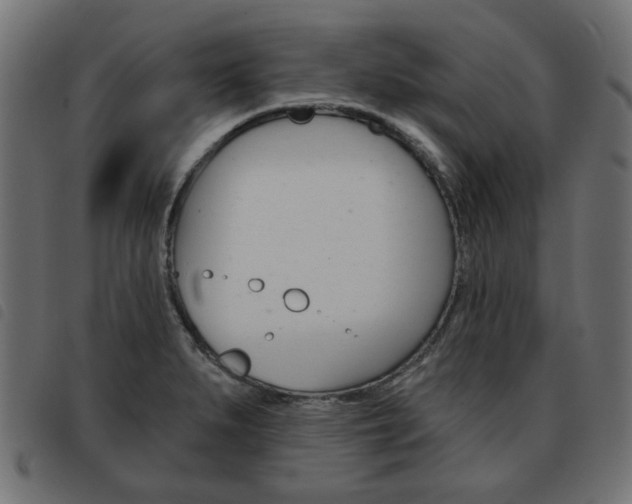 X0000093581279200710150950