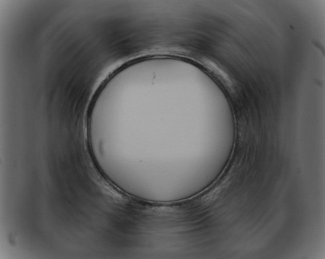 X0000093581280200710150950