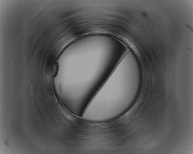 X0000093581281200710150950