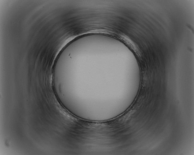 X0000093581284200710150950
