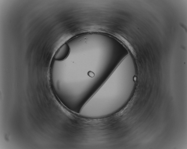 X0000093581285200710150950