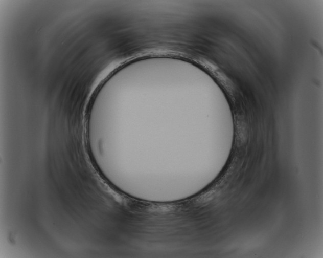 X0000093581286200710150950