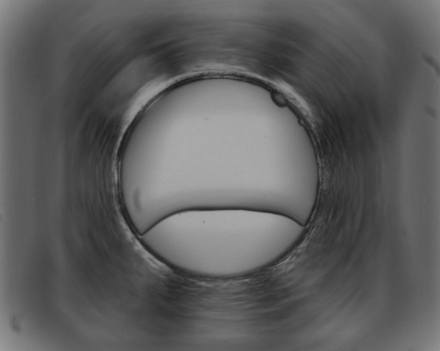 X0000093581287200710150950