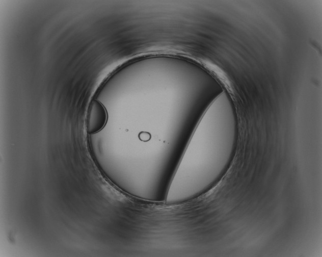 X0000093581288200710150950