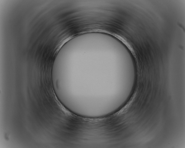 X0000093581289200710150950