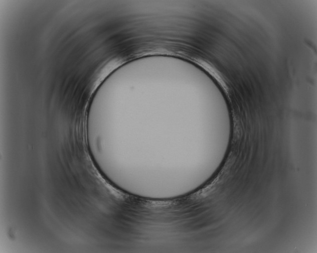 X0000093581290200710150950