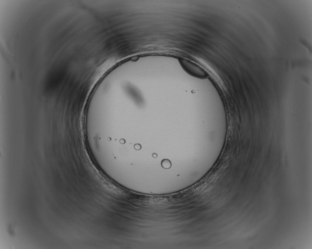 X0000093581291200710150950