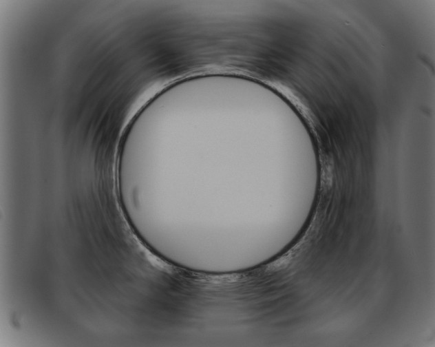 X0000093581294200710150949