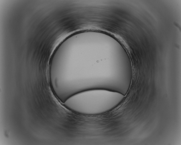 X0000093581295200710150949