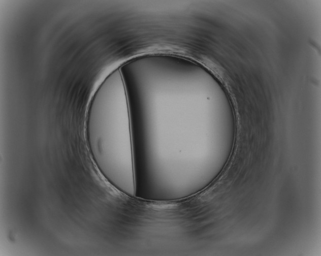 X0000093581296200710150949