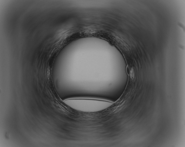 X0000093581299200710150949