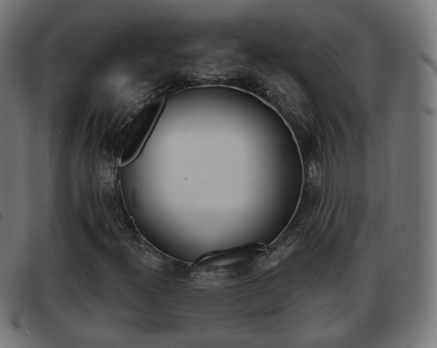X0000093581300200710150949