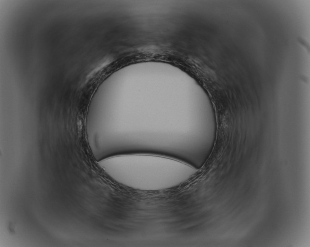 X0000093581302200710150949