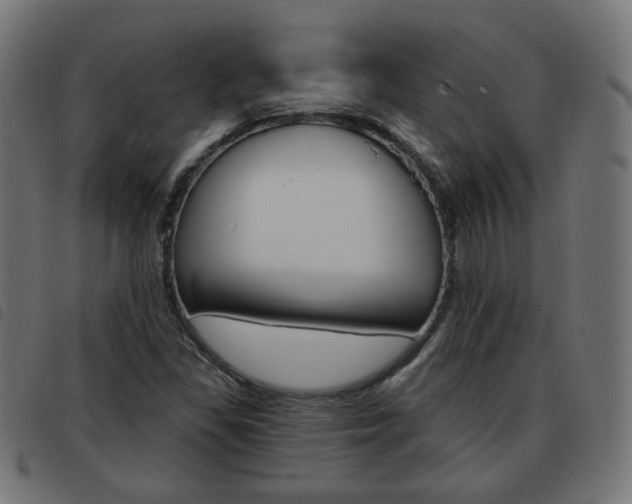 X0000093581309200710150949
