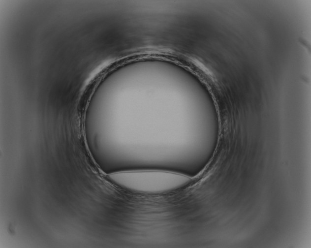 X0000093581310200710150949