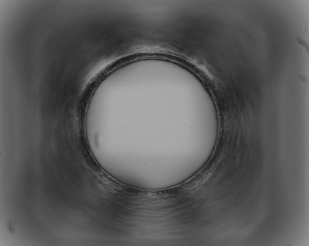 X0000093581311200710150949
