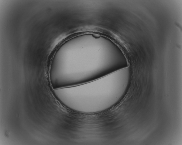 X0000093581312200710150949
