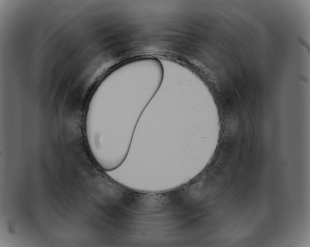 X0000093581314200710150949