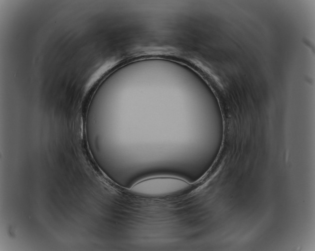 X0000093581317200710150949