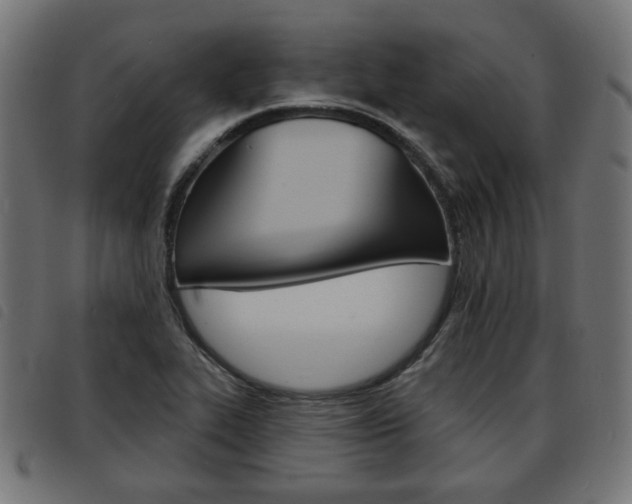 X0000093581319200710150949