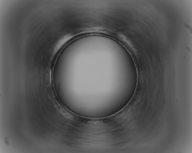X0000093581320200710150949