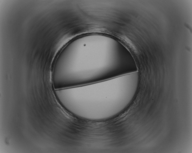 X0000093581324200710150949