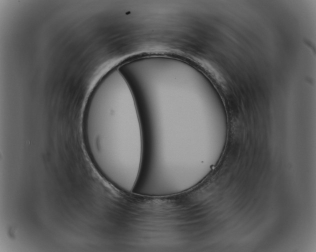 X0000093581327200710150949