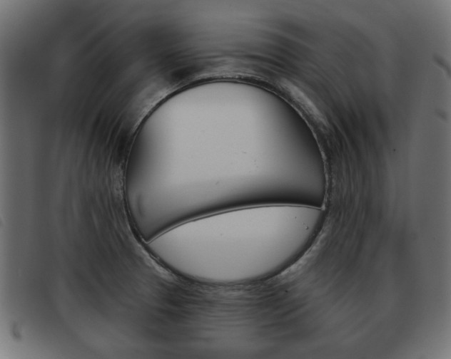 X0000093581329200710150949