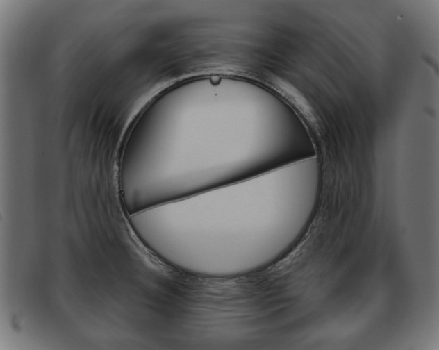 X0000093581332200710150949