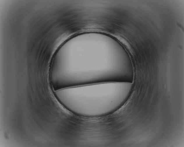 X0000093581333200710150949