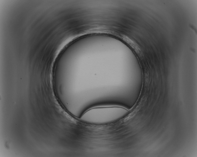 X0000093581334200710150949