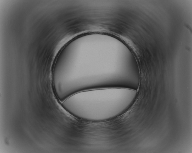 X0000093581335200710150949