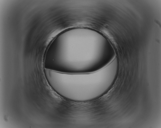 X0000093581336200710150949