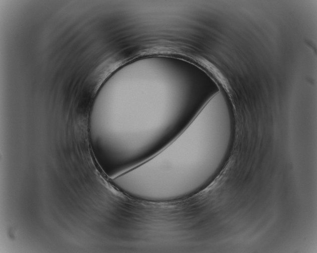 X0000093581337200710150949