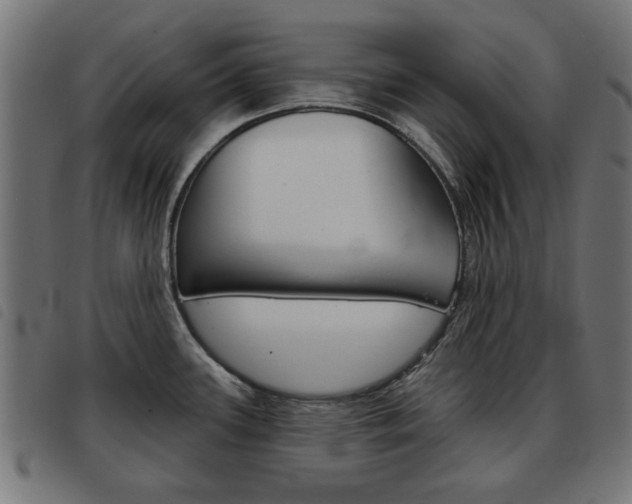 X0000093581339200710150949