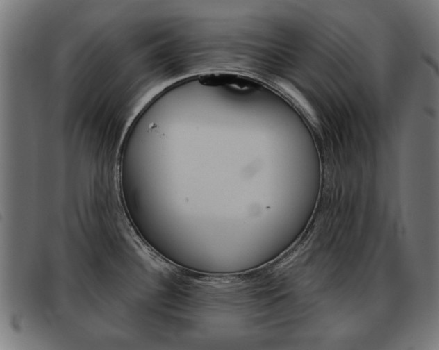 X0000093581340200710150949