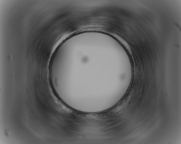 X0000093581341200710150949