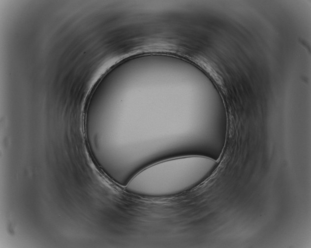 X0000093581342200710150949